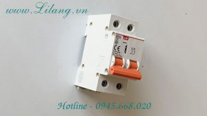 Cau Dao Dien Ls Mcb Bkn 2p 25a