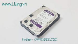 O Cung Trong Western Purple Hdd 4tb Wd40purz