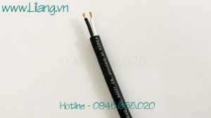 Cap Dieu Khien 2x1,25 Sangjin