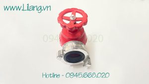 Van Goc Chua Chay Dn65 Fuji