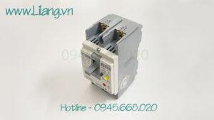 Aptomat Elcb Chong Dong Ro 2p 50a 5ka