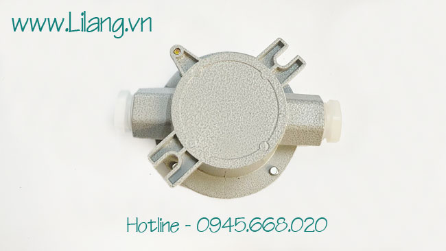 Hop Chia 2 Nga Phong No